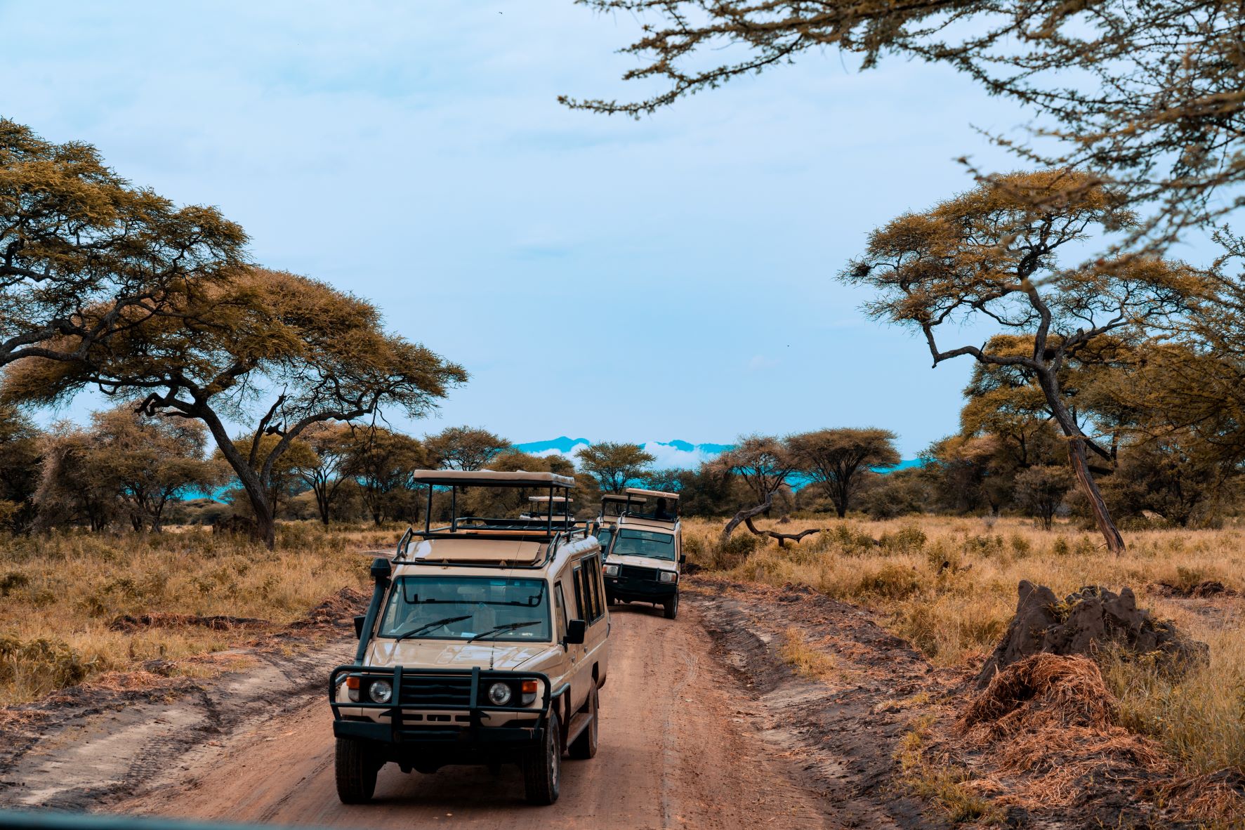 Group Discovery Tours