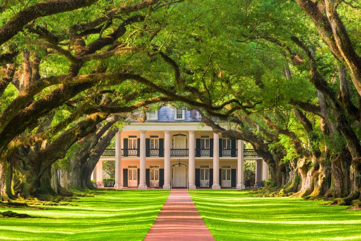 Day Five: Oak Alley Plantation Day Five: Oak Alley Plantation