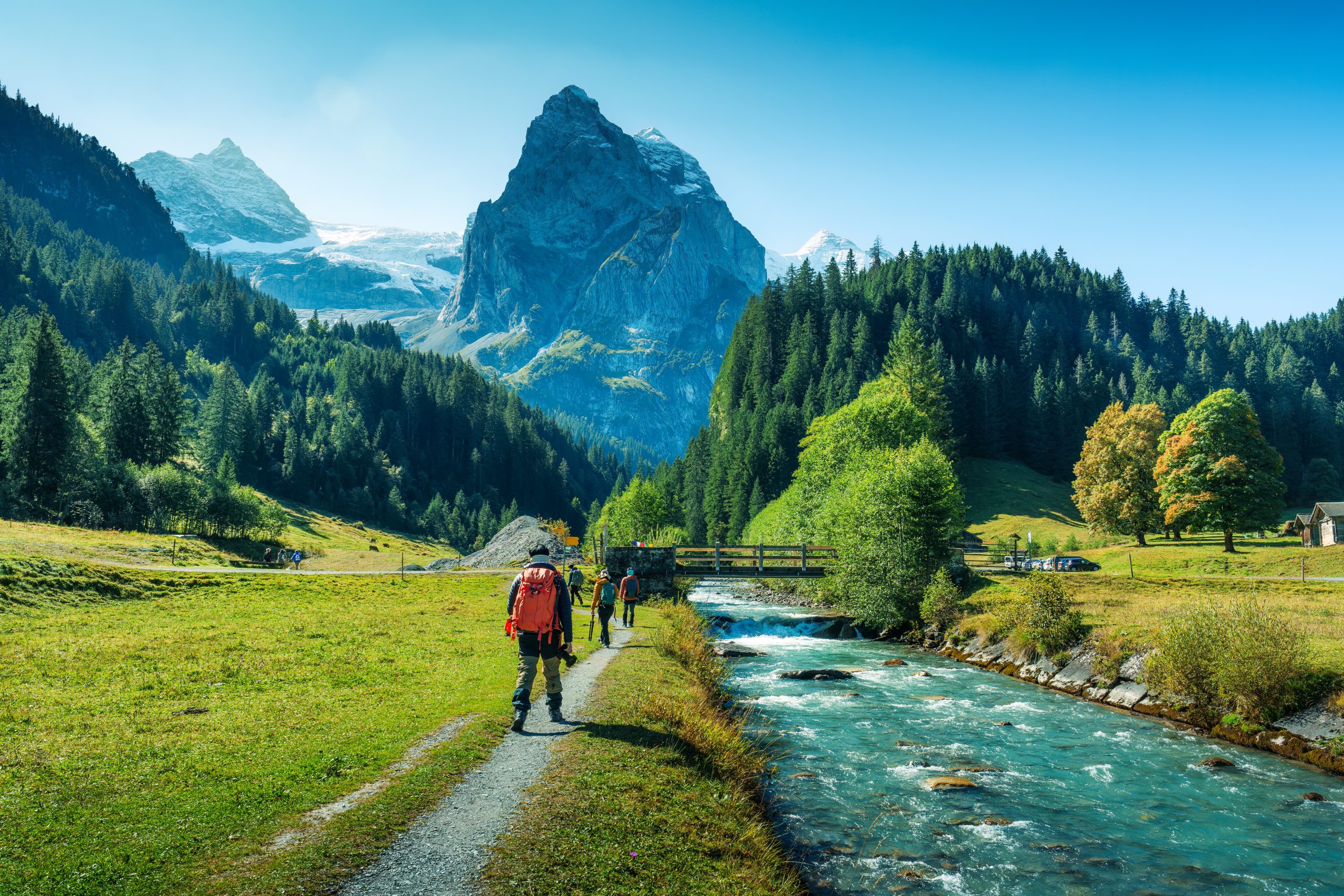 Guided Walking Tours