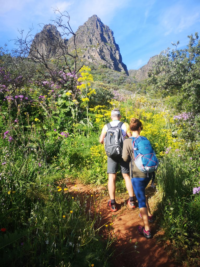 Expert Guided Walks Expert Guided Walks