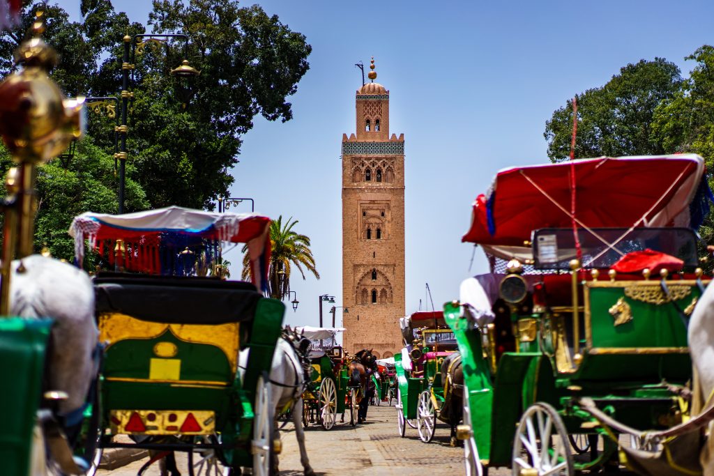 Day Six: Marrakech Discovery Day Six: Marrakech Discovery