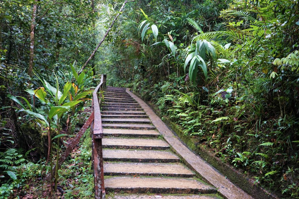 Day Six : Kinabalu National Park Day Six : Kinabalu National Park