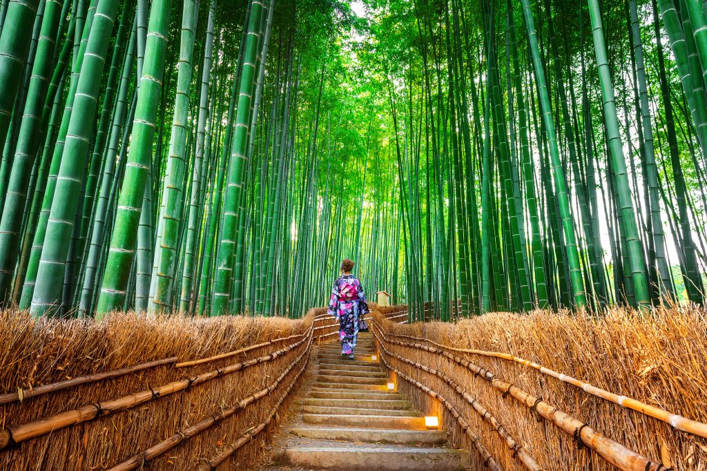 Day Ten: Arashiyama Bamboo Forest & Gion Corner Day Ten: Arashiyama Bamboo Forest & Gion Corner