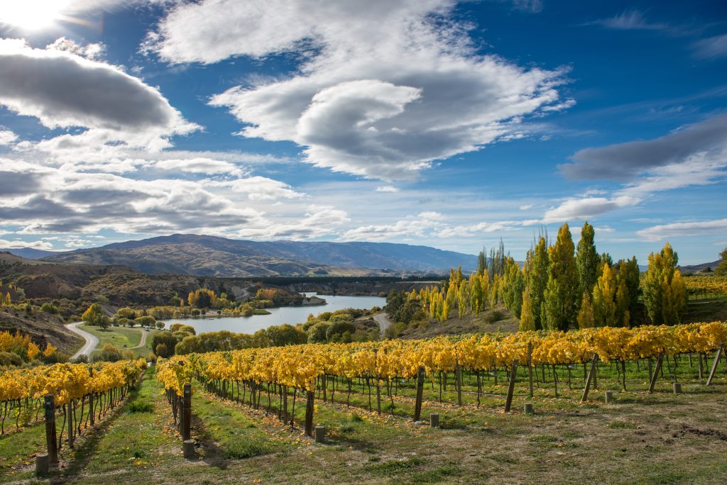 Day Seventeen: Wine Tasting in Central Otago Day Seventeen: Wine Tasting in Central Otago