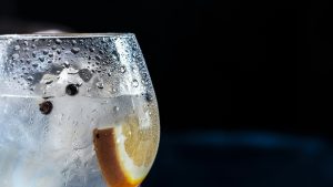 Gin Tasting Gin Tasting
