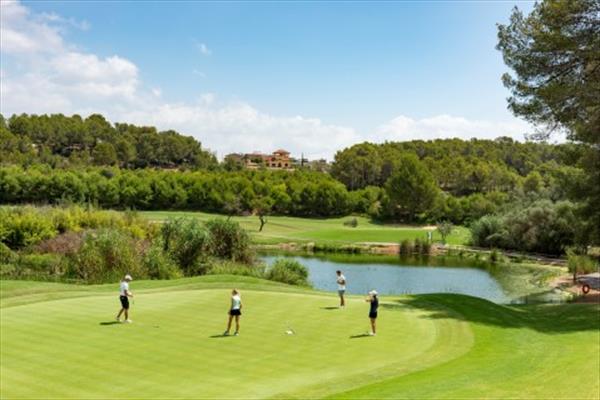 Hassle Free Golf Hassle Free Golf