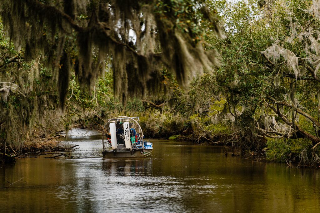 Day Four: Airboat Swamp Tour Day Four: Airboat Swamp Tour