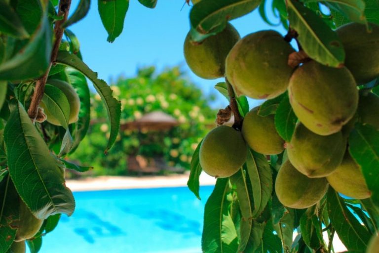 Boutique Style Hotel Boutique Style Hotel