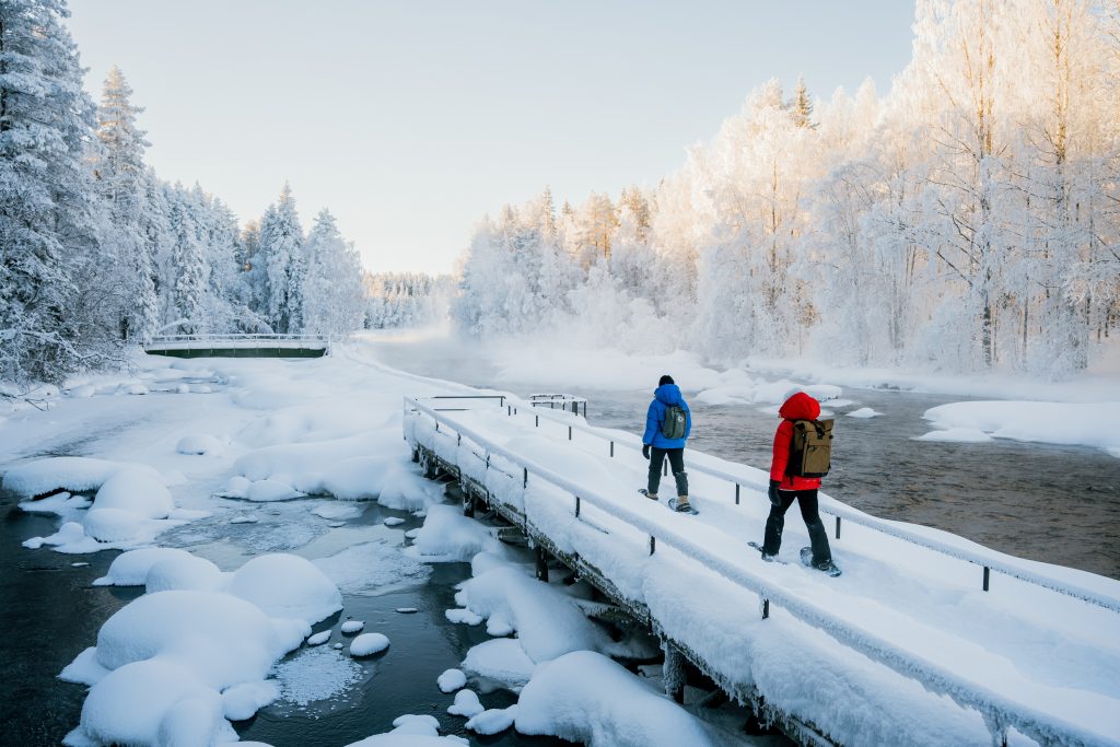 Day Five: Snowshoeing through the Taiga Day Five: Snowshoeing through the Taiga
