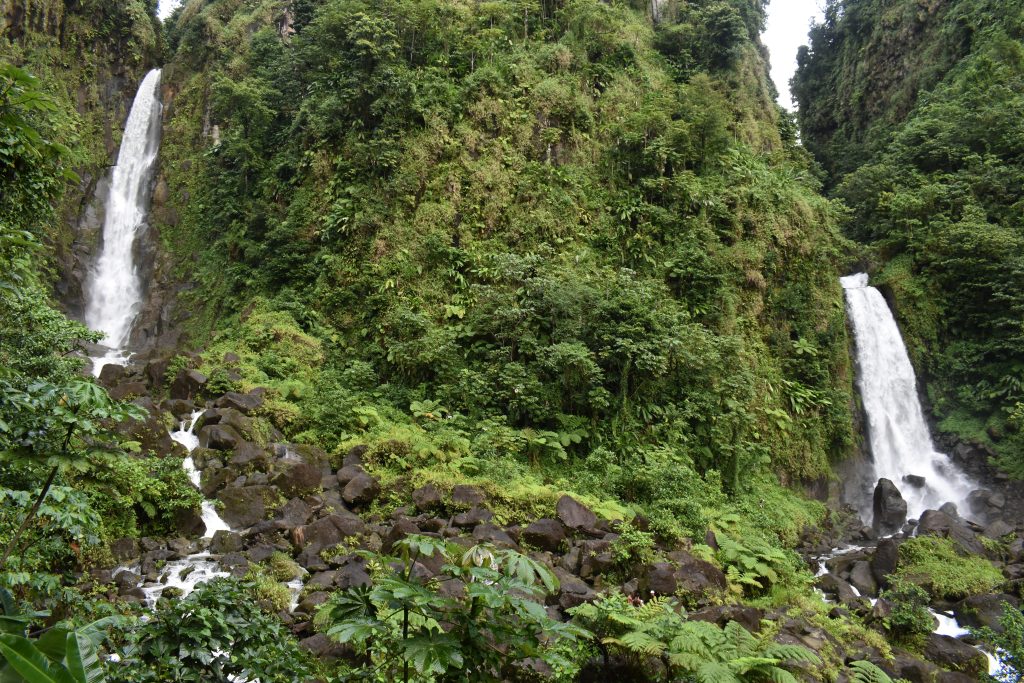 Day Four: Roseau, Dominica 08:00 - 18:00 Day Four: Roseau, Dominica 08:00 - 18:00