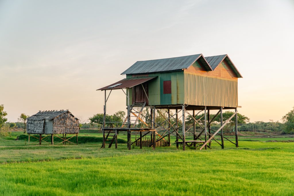 Day Eight: Kok Sangke Community Tour, Tonlé Sap & Apsara Dinner Show Day Eight: Kok Sangke Community Tour, Tonlé Sap & Apsara Dinner Show