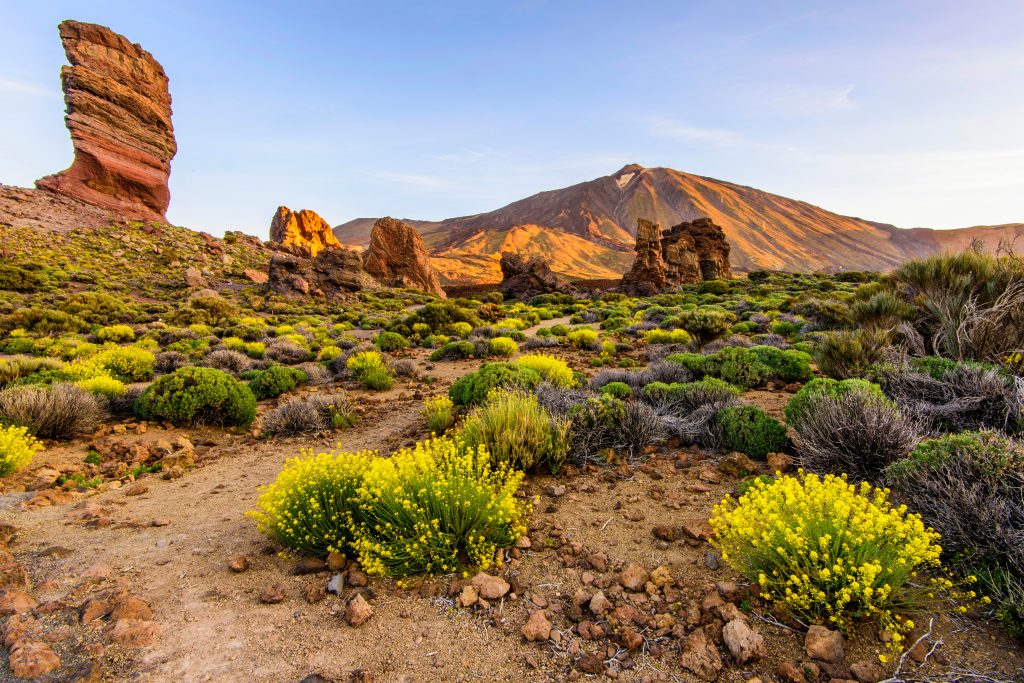 Day Ten: Teide National Park Day Ten: Teide National Park