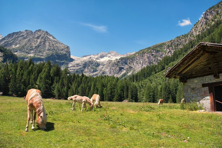 Brenta Dolomites Brenta Dolomites