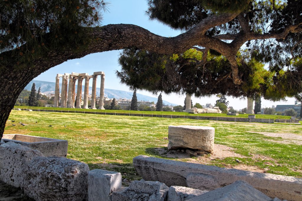 Day Six: Olympia Day Six: Olympia