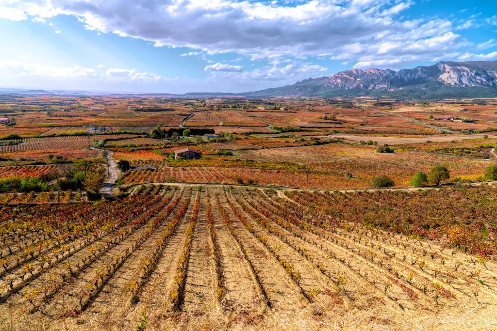 Day Five: Rioja Alavesa Wine Region Day Five: Rioja Alavesa Wine Region