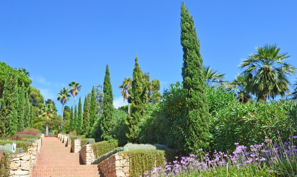 Day Two: Girona & Marimurtra Botanical Garden Day Two: Girona & Marimurtra Botanical Garden
