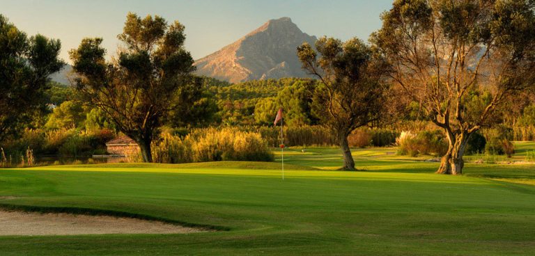 Sun-soaked Courses Sun-soaked Courses