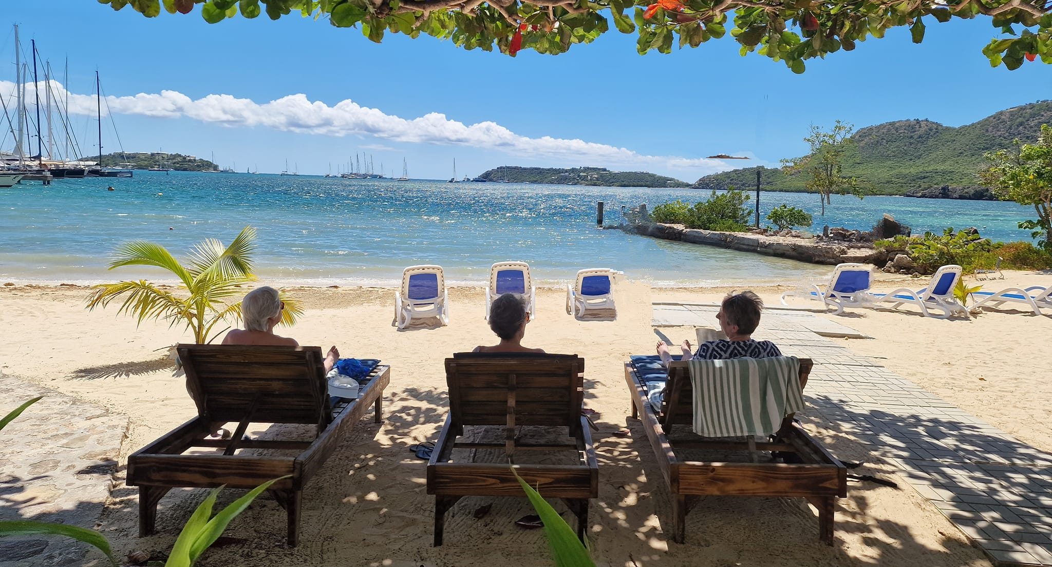 Which Solos Exclusive Suits Your Travel Style?