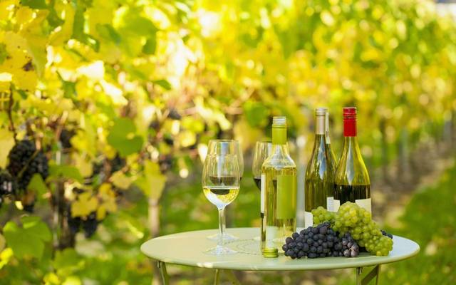 Vineyards