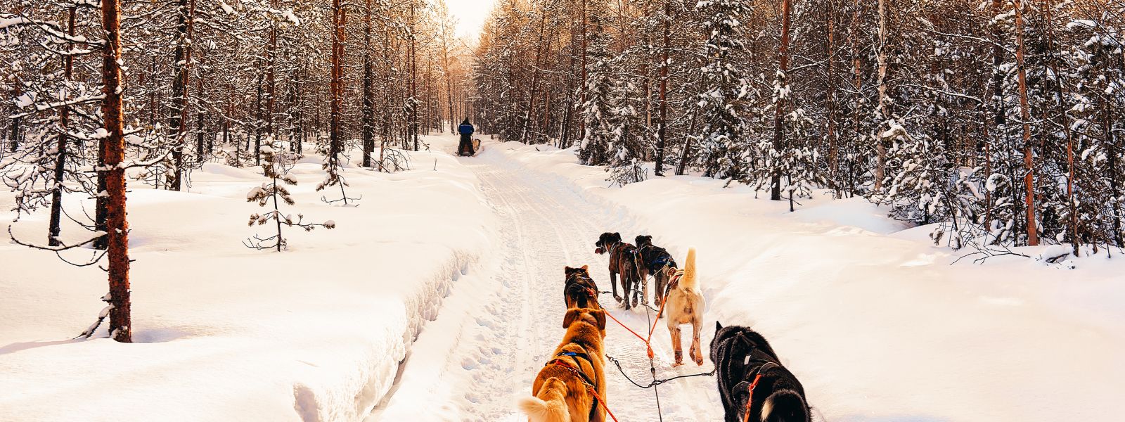 Finland Solo Trips & Tours