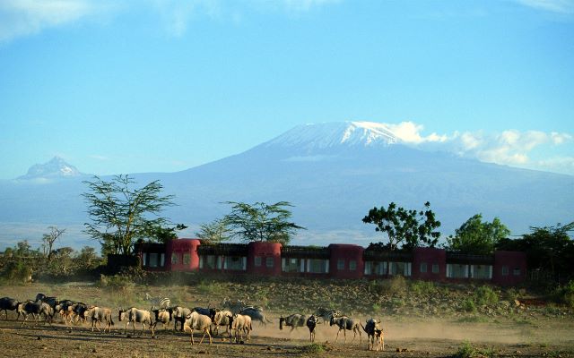 African safari lodges