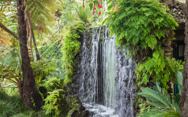 Botanical Gardens