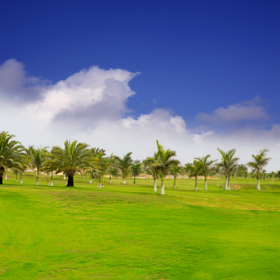 Golfing