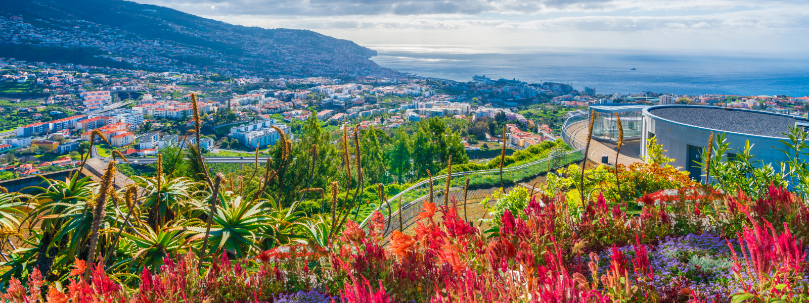 Madeira Solo Holidays