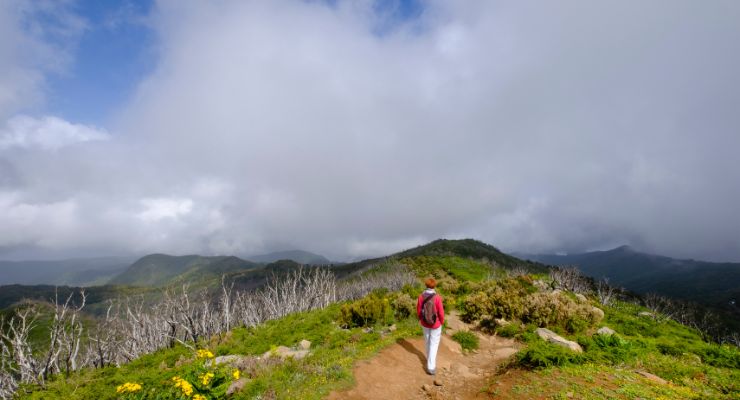 Day Two: Journey to the top of Alto de Garajonay (1.487m)