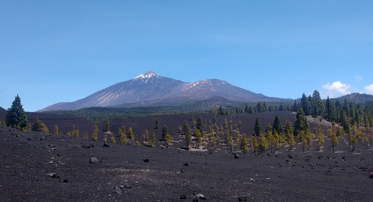 Day Two: The Volcanic Island - Arenas Negras & Chinyero