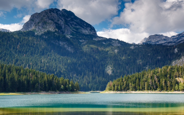 Four National Parks