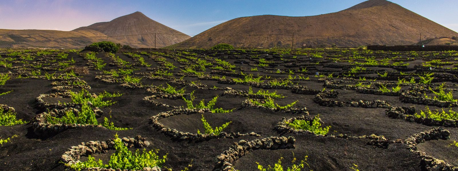 Lanzarote Walking