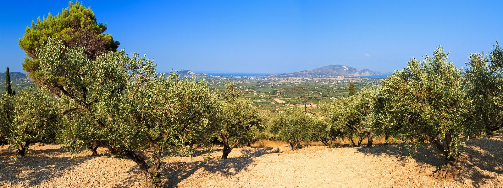 Zakynthos - Walking the Flower of the East