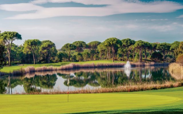 Organised golf days