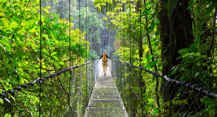 Day Nine: Visit the Arenal Hanging Bridges & Volcano National Park