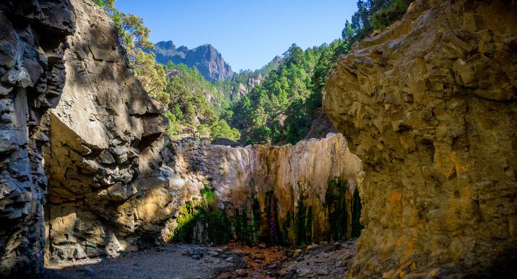 Day Five: Caldera de Taburiente National Park