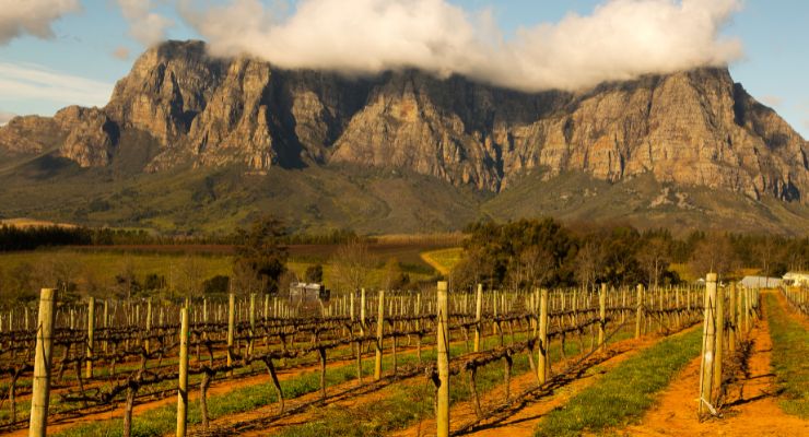 Day Eight: Wine Tour & Stellenbosch