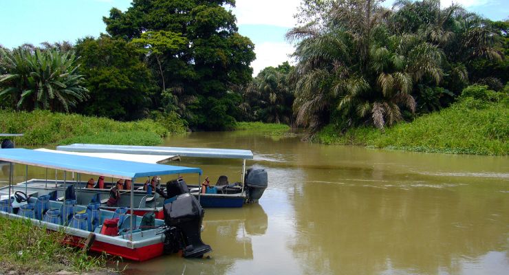 Day Seven: Explore Tortuguero National Park's wildlife & freshwater lagoons