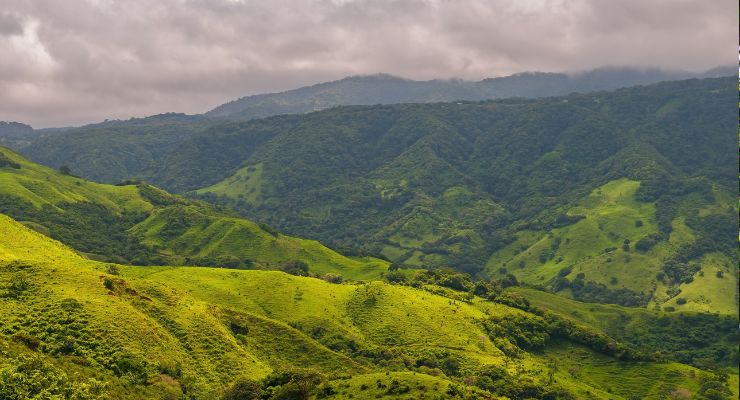 Day Seven: Learn about traditional farming in Monteverde