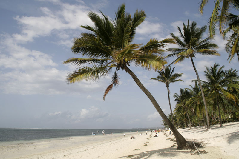 Beautiful white sand beach in Mombassa Kenya