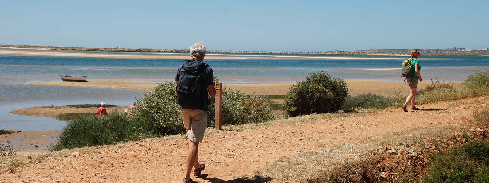 Q&A with Local Walking Tour Leader Tim!