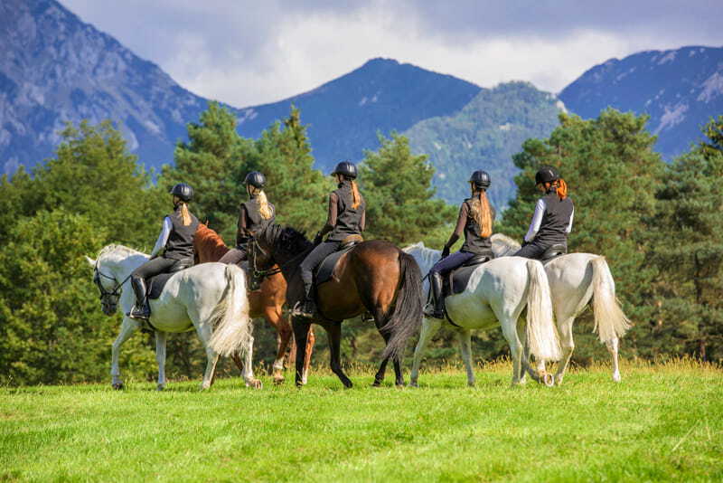 Singles horse-riding in Bulgaria