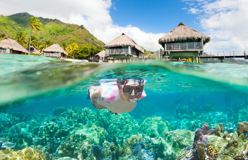 Person snorkellling in the Maldives