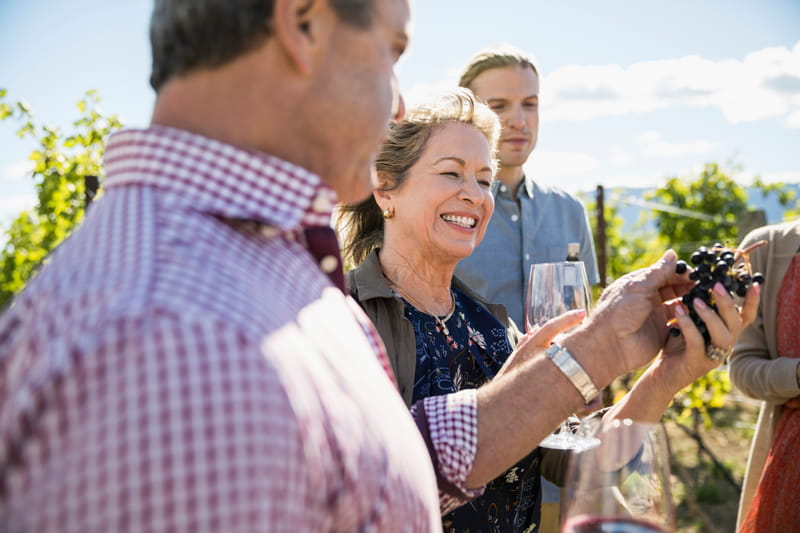 Solo travellers at a vineyard