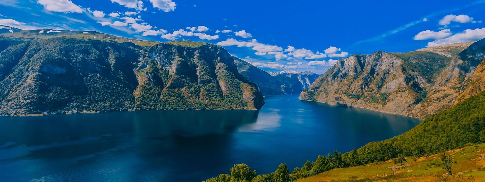 Which cruise to Norway is best for you?