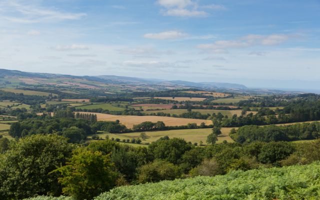 Quantock Hills