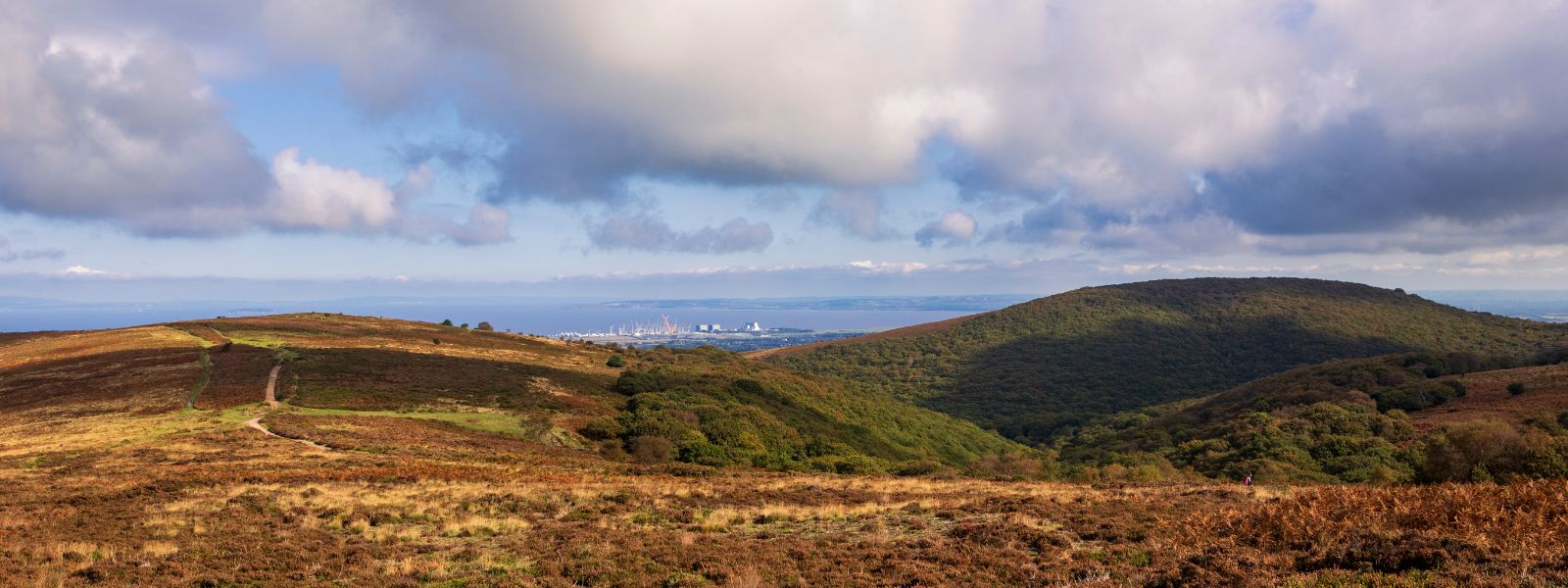 Walking the Somerset Coast & Quantock Hills