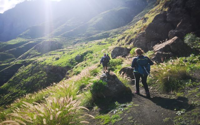 Fully-guided Walks