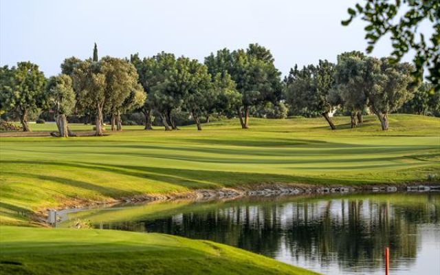 Organised Tee Times