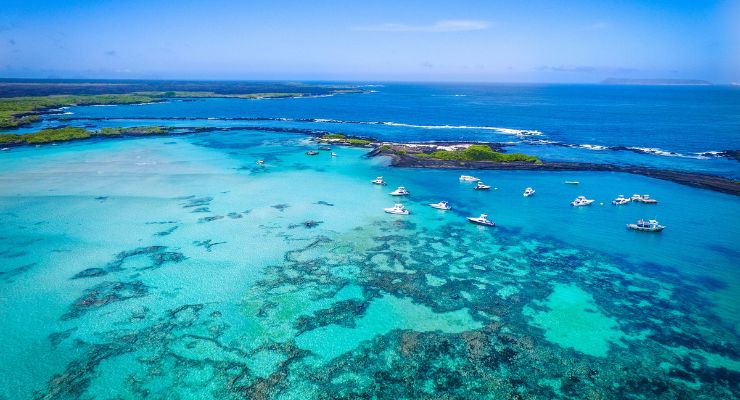 Day Twelve: Flight from Galapagos to mainland Ecuador 